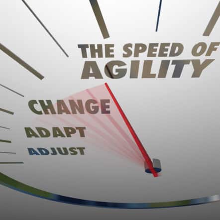 Adaptive leadership, per Dr. Vic, TEP.Global, leadership assessment, talent acquisition, people management expert, transforms Netflix agility speed for change.