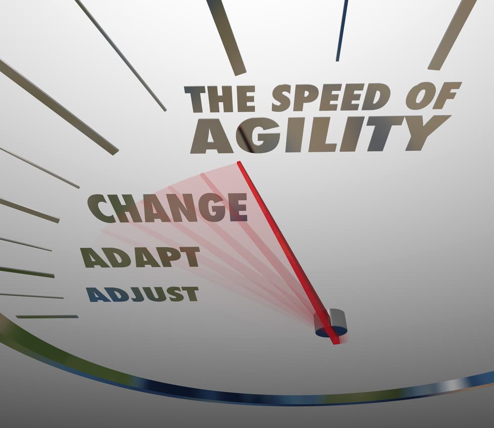 Adaptive leadership, per Dr. Vic, TEP.Global, leadership assessment, talent acquisition, people management expert, transforms Netflix agility speed for change.